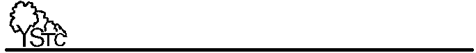 [Large YSTC Logo]